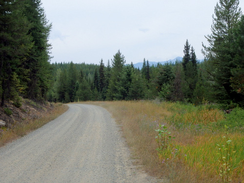 GDMBR: Southbound on NF-903, Cold Creek Road.